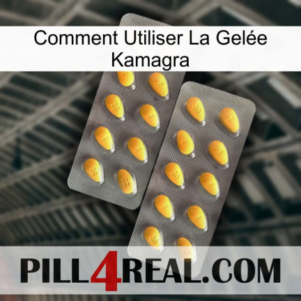 Comment Utiliser La Gelée Kamagra cialis2